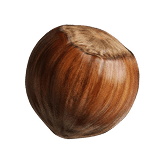 Hazelnut